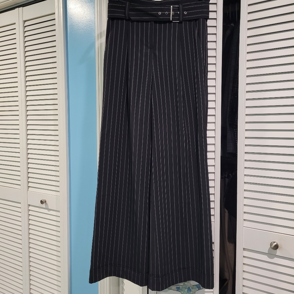 Express Pinstripe Wide Leg Dress Pants, size 4